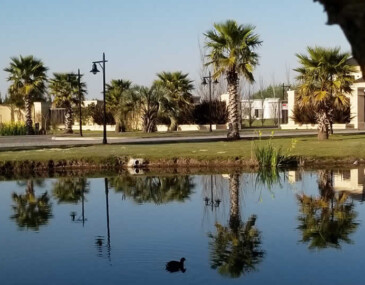 Vista Laguna Texto alternativo