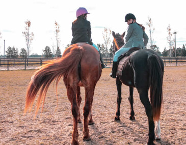 Senda ecuestre para disfrutar